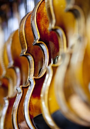 Концерт «Вивальди. Времена года. Бах. Токката и фуга ре минор. Моцарт. Маленькая ночная серенада» logo
