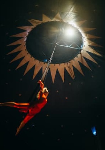 Цирковое шоу «Мир Сказки» logo