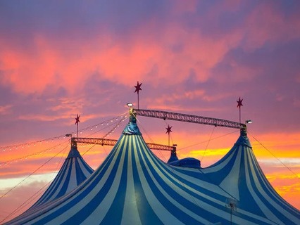 Цирковые представления летом 2022