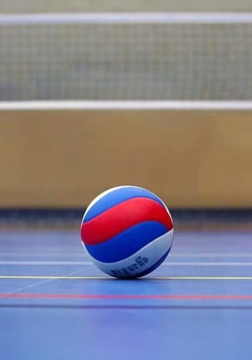 Четвертьфинал чемпионата России по волейболу «Pari Суперлига» logo