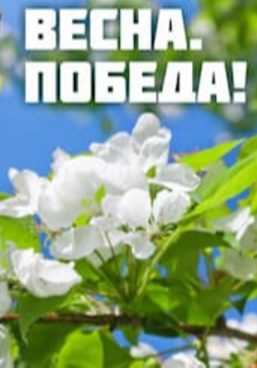 Праздничный концерт «Весна победы нашей» logo