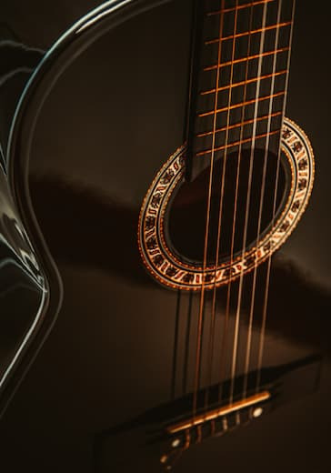 Концерт "Виртуозы гитарного искусства" logo