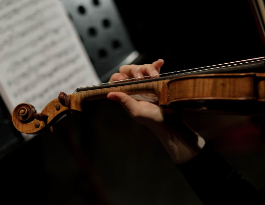 Концерт «А. Вивальди. Maestro di Violino».  Симфонический оркестр Санкт-Петербурга.  Дирижер и солист - Сергей Стадлер (скрипка)