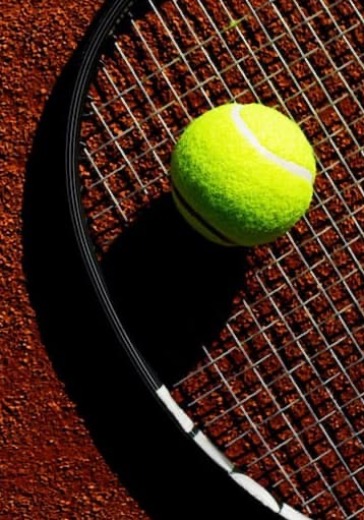 Международный командный теннисный турнир "Трофеи северной пальмиры 2022" logo