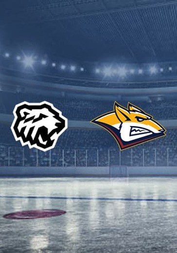 Финал Континентальной Хоккейной Лиги. Восточная конференция. ХК Трактор - ХК Металлург logo