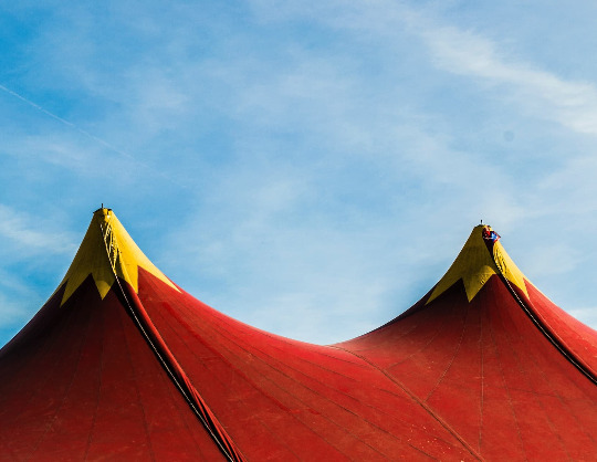 Фестиваль циркового искусства «Без границ»