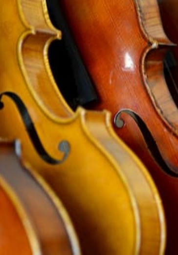 Вечер музыки для арфы и скрипки logo