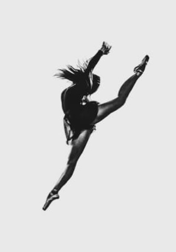 ГАЛА DANCE OPEN. Звезды мирового балета logo