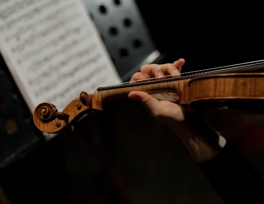 Симфонический оркестр Санкт-Петербурга «Скрипка времён Наполеона»