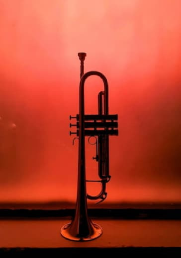 Концерт «Новогодний саксофон: от классики до джаза» logo