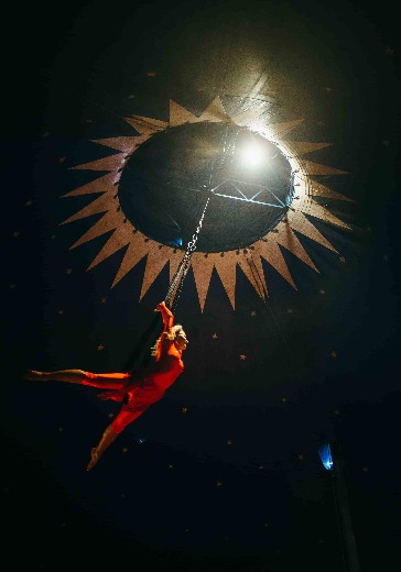 Международный цирковой фестиваль «Артист» logo