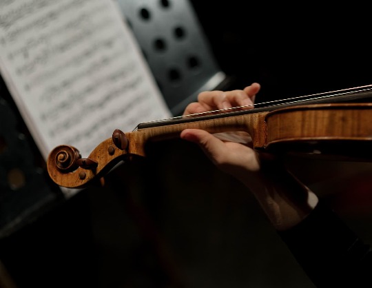 Концерт камерного оркестра Санкт-Петербургской государственной консерватории имени Н. А. Римского-Корсакова
