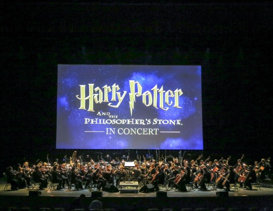 Cinemaniacs Orchestra. «Harry Potter»