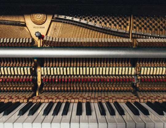 Концерт органной музыки «Пять веков органной музыки»