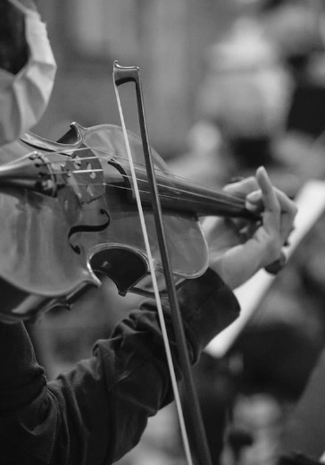 Концерт ансамбля скрипачей «Виртуозы Якутии» logo