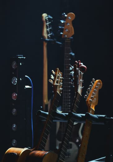 Концерт «Влюбленные гитары» logo