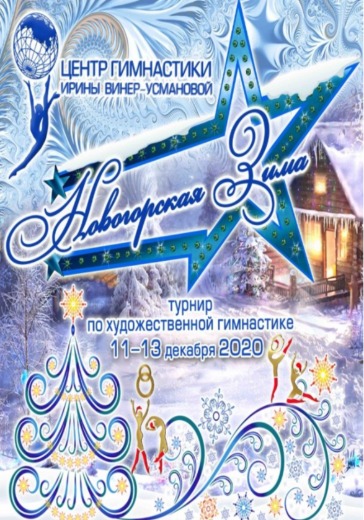 Новогорская зима-2020 logo