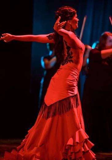 Фламенко-шоу Flamencura* logo