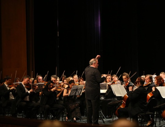 Концерт оркестра Мариинского театра