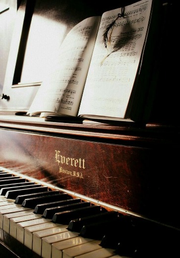 Вечер фортепианной музыки logo
