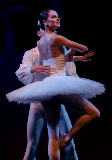Гала-концерт звезд мирового балета logo