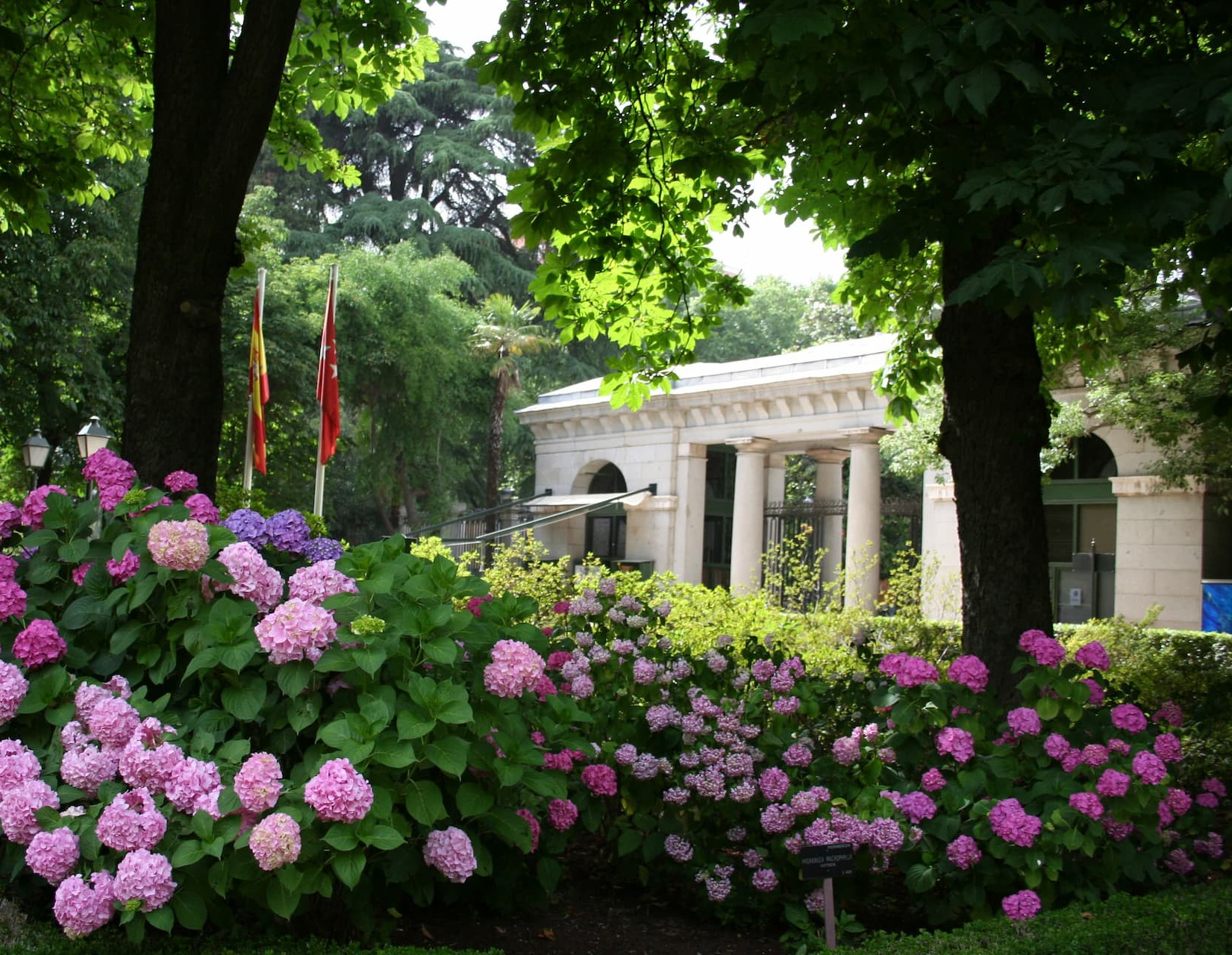 Real Botanical Garden Alfonso XIII 