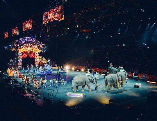 Международный цирковой фестиваль «Артист»