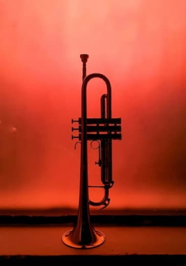 Концерт «Музыка для трубы» logo