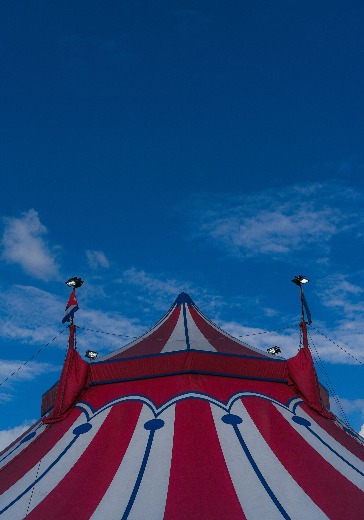 Цирк Никулина: «Почти серьезно» logo