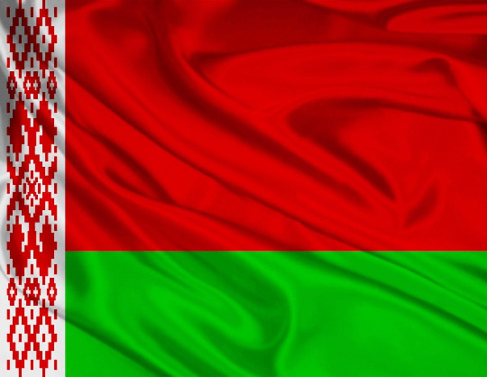 Сборная Белоруссии по футболу