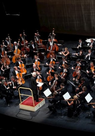 Санкт-Петербургский симфонический оркестр logo