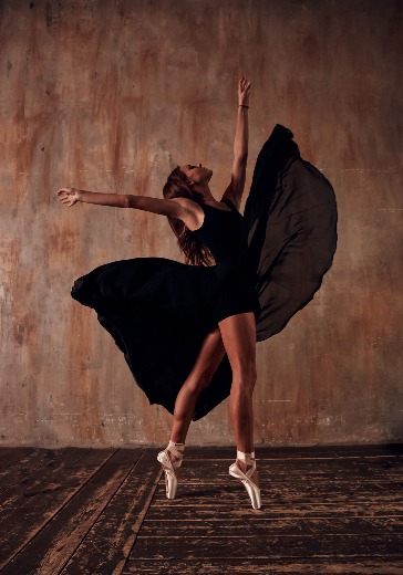 Новогодний балет-фламенко «Щелкунчик» logo
