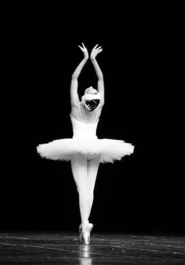 Имперский русский балет Гедиминаса Таранды «Лучшее» logo