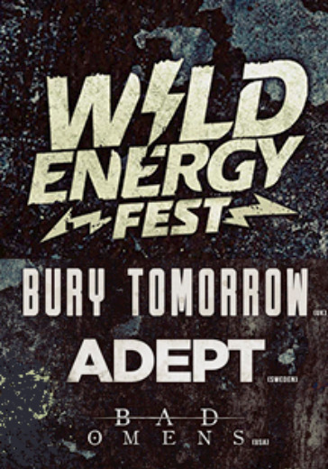 Wild Energy Fest (перенос) logo