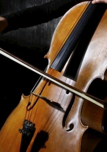 Вечер музыки для виолончели logo