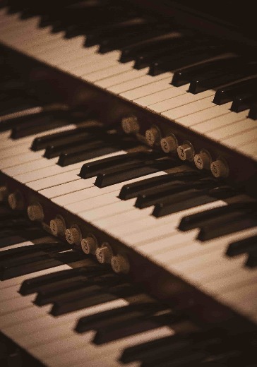Концерт органной музыки «Органные хроники» logo