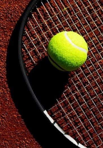 World tennis leageue. Season II logo