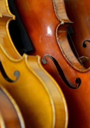 «Возвышенное и земное» Концерт виртуозной скрипичной музыки logo