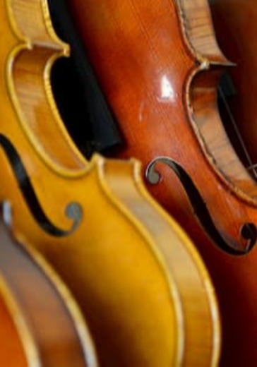 Вечер дуэтов для скрипки и альта logo