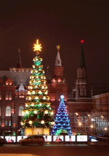 Новогоднее представление «Тридевятый Новый Год». Кремлёвская Ёлка logo