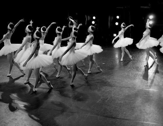 Svetlana Zakharova in a ballet double bill MODANSE