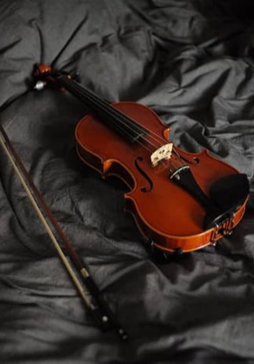 Вечер скрипичной музыки logo